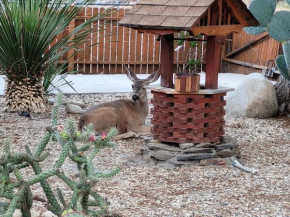 Kernville - walk to River Kern & Downtown